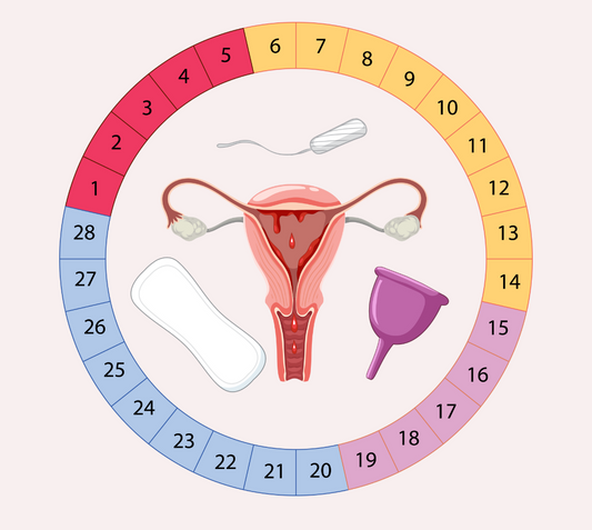 What-to-Expect-at-Different-Stages-of-Your-Menstrual-Cycle Crimson