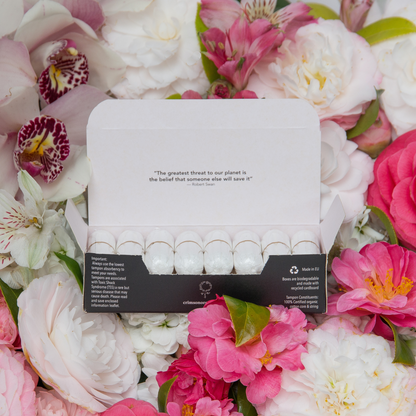 Super Tampons - 6 Month Supply